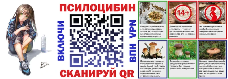 мега маркетплейс  Ухта  Псилоцибиновые грибы Psilocybe 